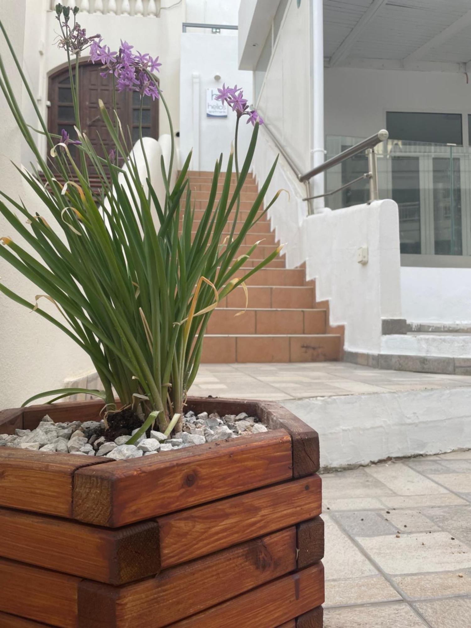 Helios Apartments ปลาเกียส ภายนอก รูปภาพ